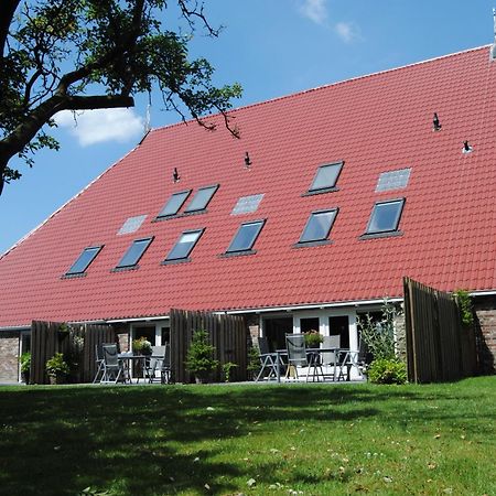 Appartementen Verhuur De Trijehoek Stiens Zewnętrze zdjęcie