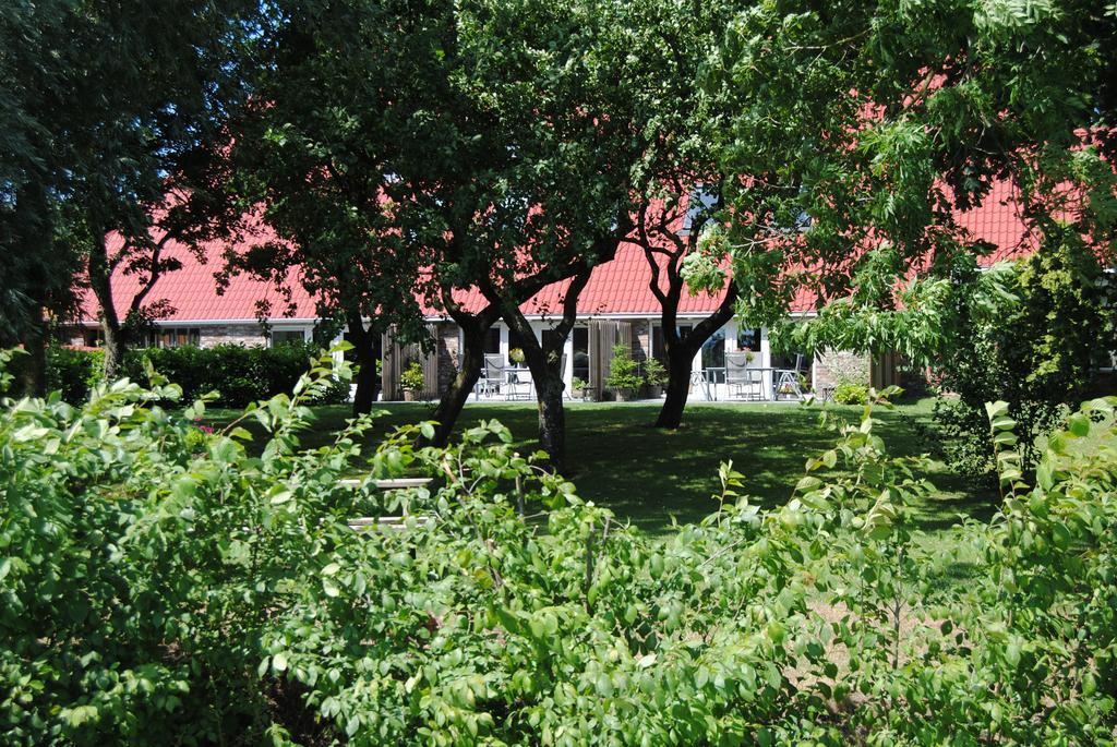 Appartementen Verhuur De Trijehoek Stiens Zewnętrze zdjęcie